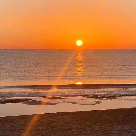 La Mata Tulip Torrevieja