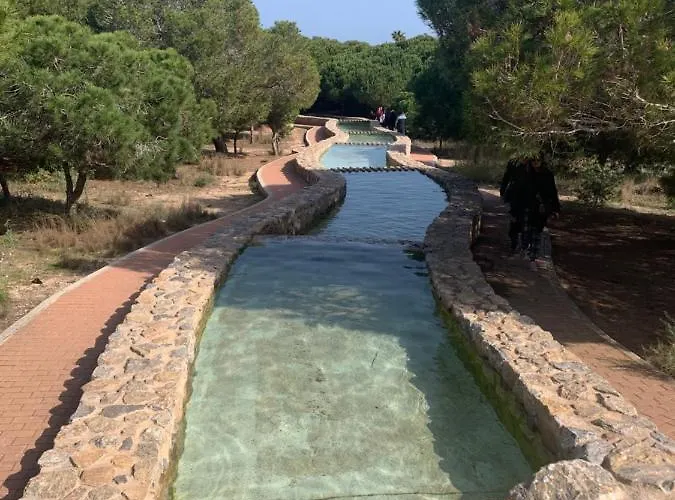 La Mata Tulip تورّيفيِخا