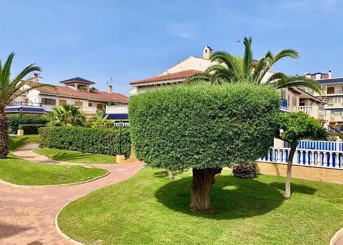 La Mata Tulip * تورّيفيِخا