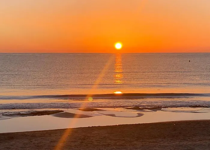 La Mata Tulip تورّيفيِخا