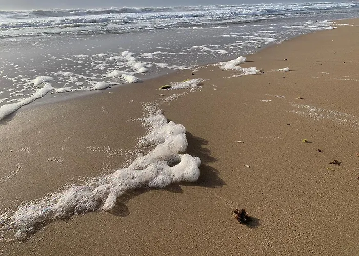 شقة La Mata Tulip *