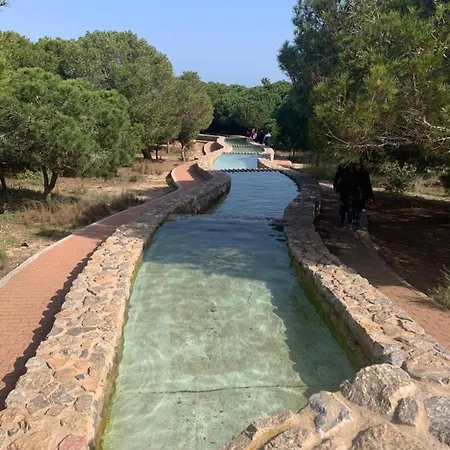 La Mata Tulip טורבייחה