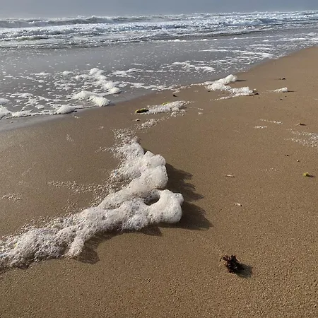 דירה La Mata Tulip *